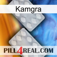 Kamgra 17
